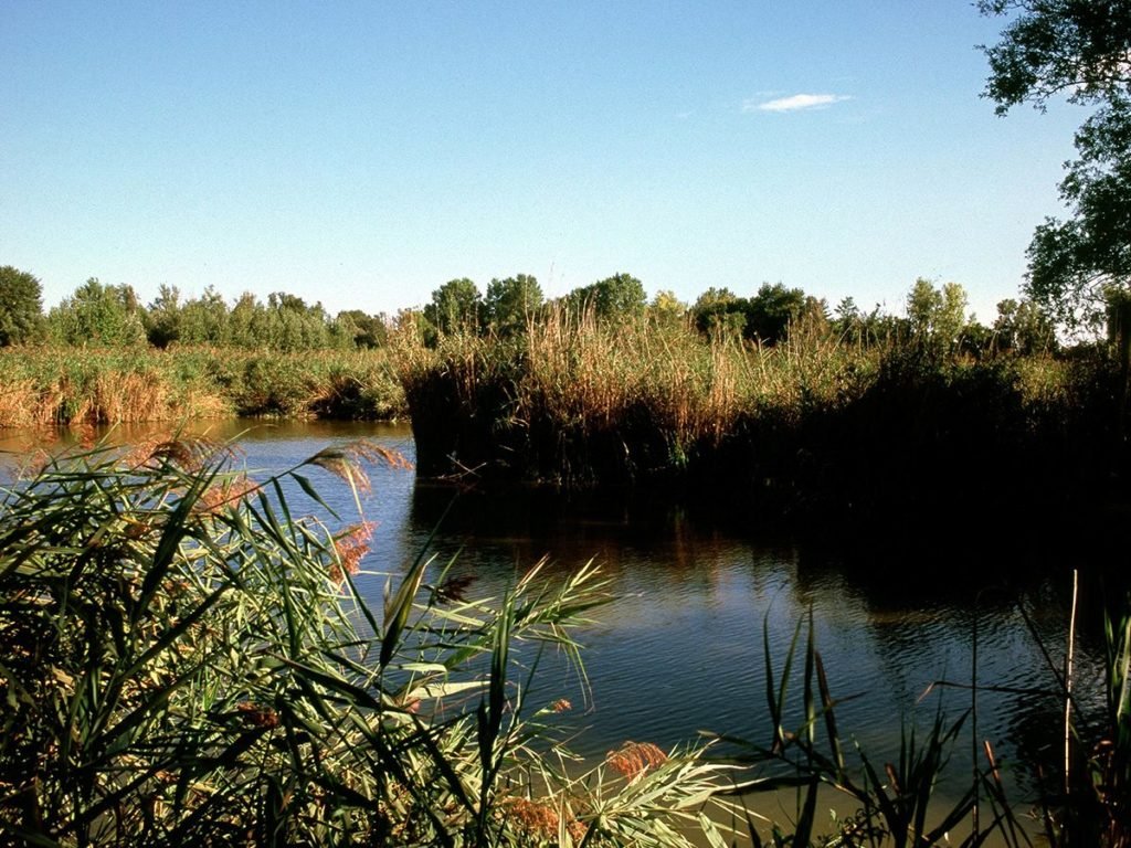 Cave di Noale oasi WWF